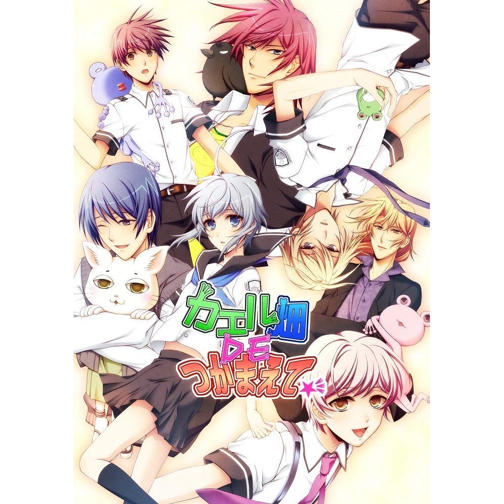 KAERU BATAKE DE TSUKAMAETE Switch