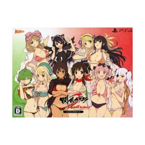 SENRAN KAGURA BURST RE:NEWAL [NYUU NYUU DX PACK] (gebraucht) PS4