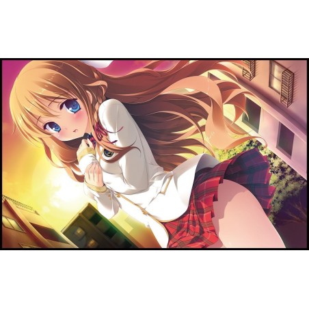 MELTYMOMENT [LIMITED EDITION]	(gebraucht) PSVita