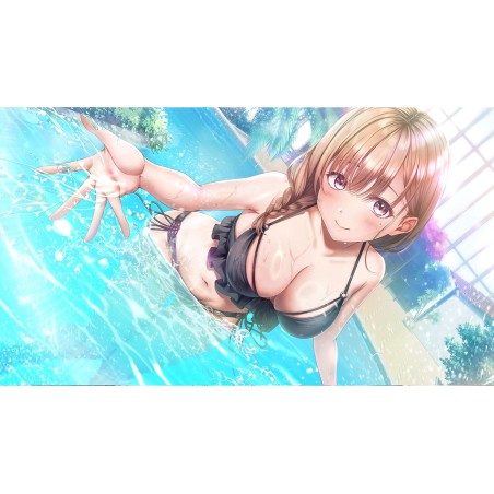 Seifuku Kanojo 2.5 Switch (gebraucht)