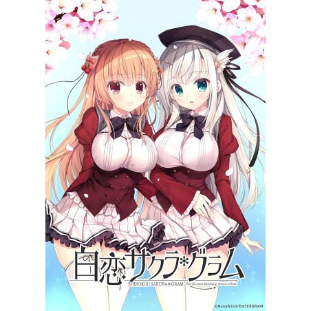 Shirokoi Sakura * Gram Switch